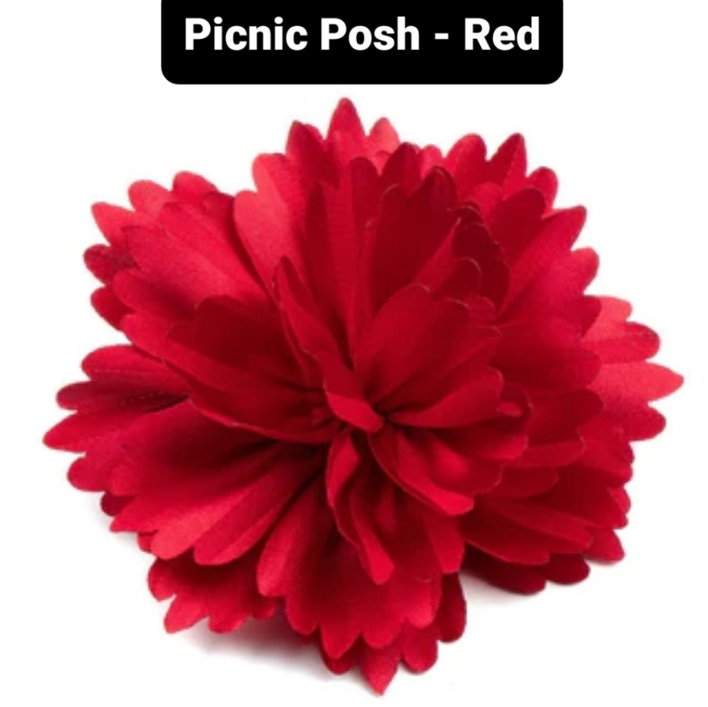 Paparazzi hair clip